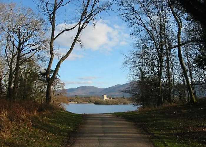 クリスタル スプリングス