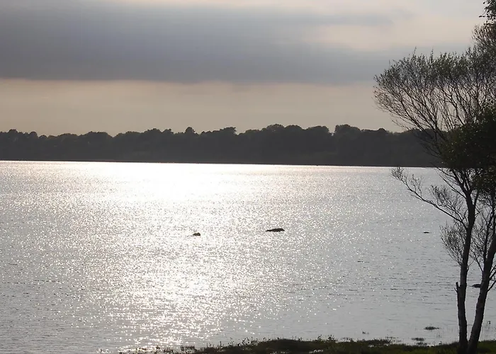 ベッド・アンド・ブレックファスト クリスタル スプリングス 3*