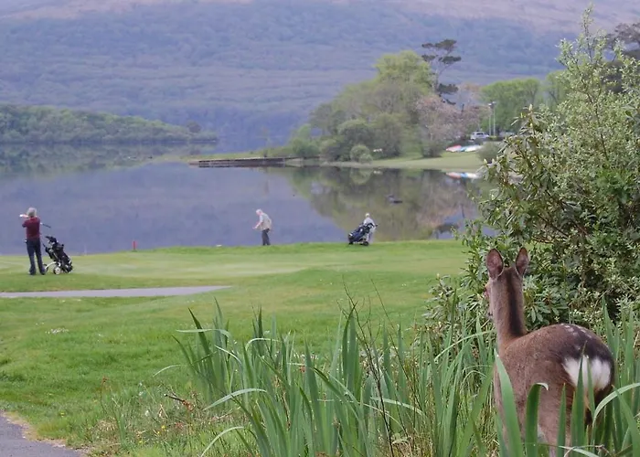 ベッド・アンド・ブレックファスト クリスタル スプリングス 3*